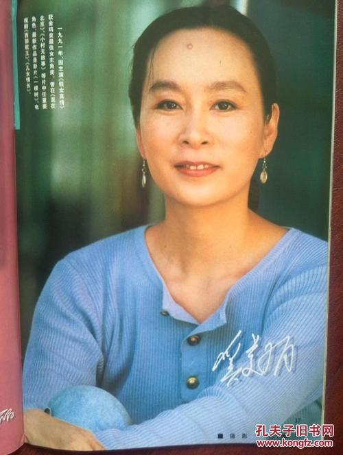 办理假丹麦护照
